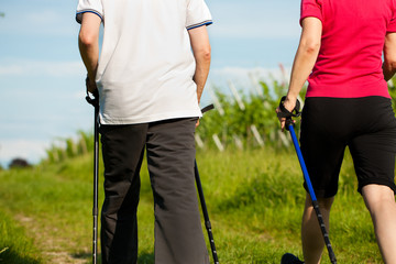 Glückliches älteres Paar beim Nordic Walking im Sommer