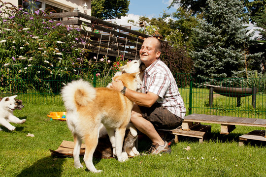 Akita Inu Rudel schmust mit Herrchen