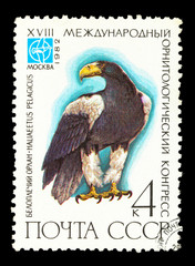 USSR - CIRCA 1982