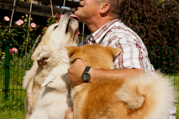 Akita Inu schmusen mit Herrchen