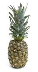 Fototapeta premium pineapple fruit