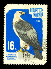USSR - CIRCA 1964