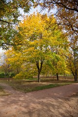 Naklejka premium Beginning of autumn