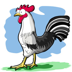 A standing rooster