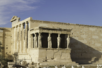 Fototapeta premium Caryatids in Erechtheum, Acropolis,Athens,Greece