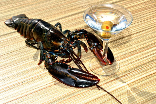 Martini Lobster