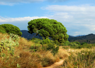 spanish landscape in mountains near barcelona