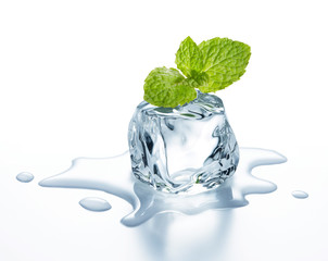 ice cube