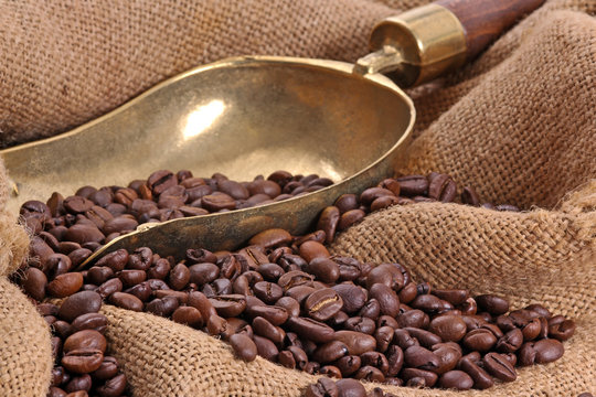 Kaffeeschaufel mit Bohnen