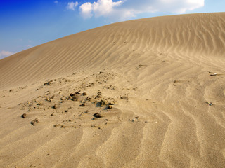 Sand Dunes Landscape