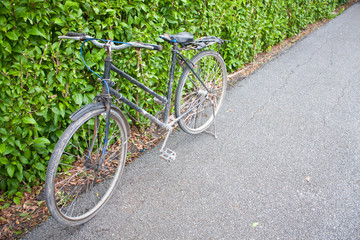 Fototapeta na wymiar Bicycle in the park.