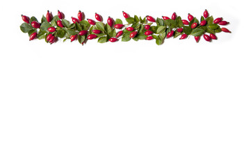 Fototapeta premium Hagebutten Girlande