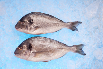 rohe Brassen auf crushed ice