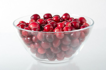 Preiselbeere, Cranberry