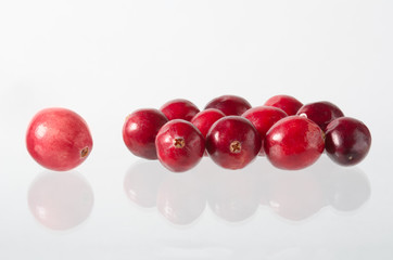 Preiselbeere, Cranberry