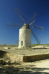 Fototapeta na wymiar Windmühle auf Formentera