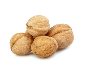 walnut group isolated