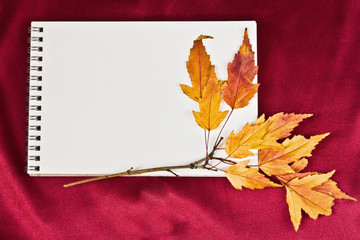 Blank paper and  fall leaves  on a fabric