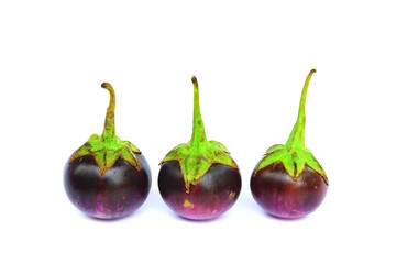 Purple eggplant group isolated
