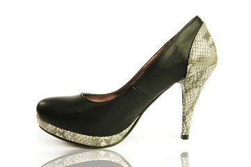 Elegant shoes on the white