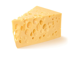Cheese on white background