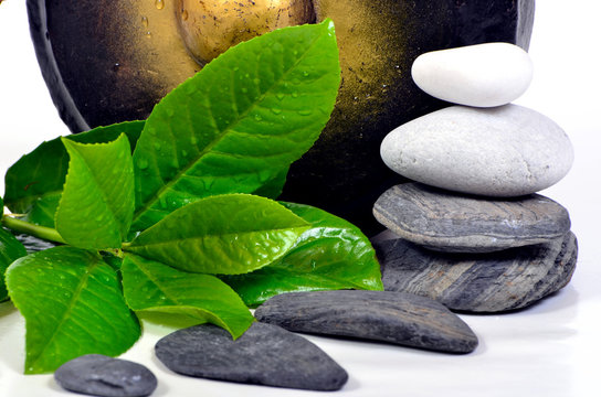 Blatt Wassertropfen Gong Steine