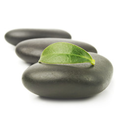zen stones with leaves isolated