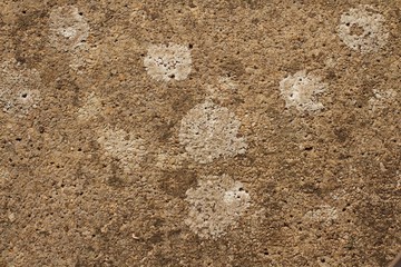 Concrete Stone Texture