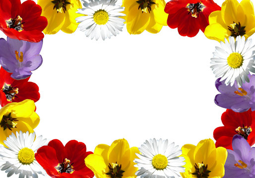 Flower frame made with various flowers