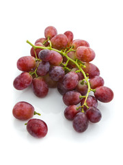 Red grape
