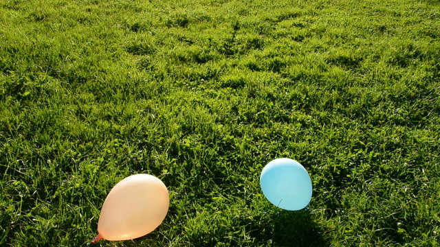 various balloons flight in evening light and  green grass field