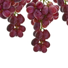 Red grapes