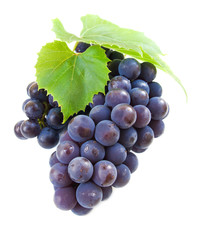 Grape