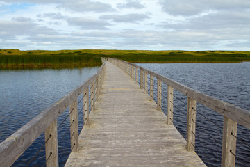 Obraz premium Boardwalk to the Dunes