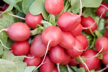 full frame radish background