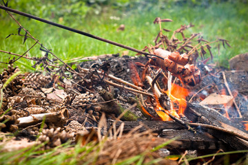 Campfire and sausages