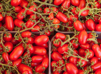 Italian plum tomatoes