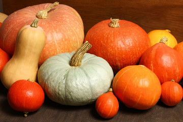 Different pumpkins