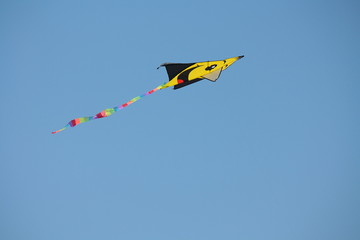 Kite.