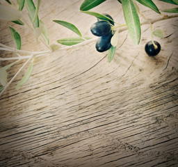 Olive branch on wooden background