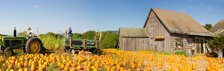 Pumpkin Patch Farm House with Halloween Decoration