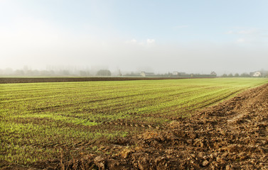 Morning above land.