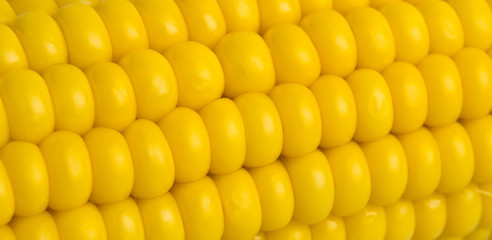 Fresh corn macro