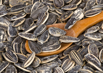Fototapeta premium Sunflower seeds and wooden spoon