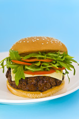 Hamburger with cheese and mixed tomato and salad