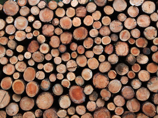 Holzstapel