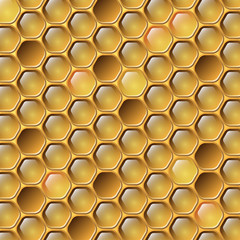 Honeycomb
