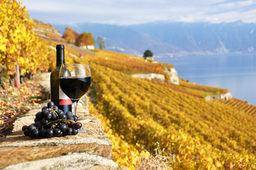 Glass of red wine . Lavaux region, Switzerland