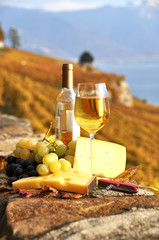 Wine and chesse on the terrace vineyard in Lavaux , Switzerland