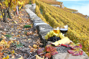 Wine, grapes and cheese. Lavaux region, Switzerland - 36231687